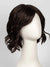 January | Synthetic Lace Front Wig (Mono Top)