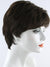 Aspire | Synthetic Wig (Basic Cap)